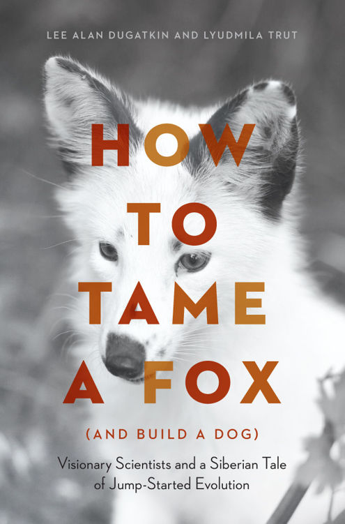 How to Tame a Fox (and Build a Dog): Visionary Scientists and a Siberian Tale of Jump-Started Evolution